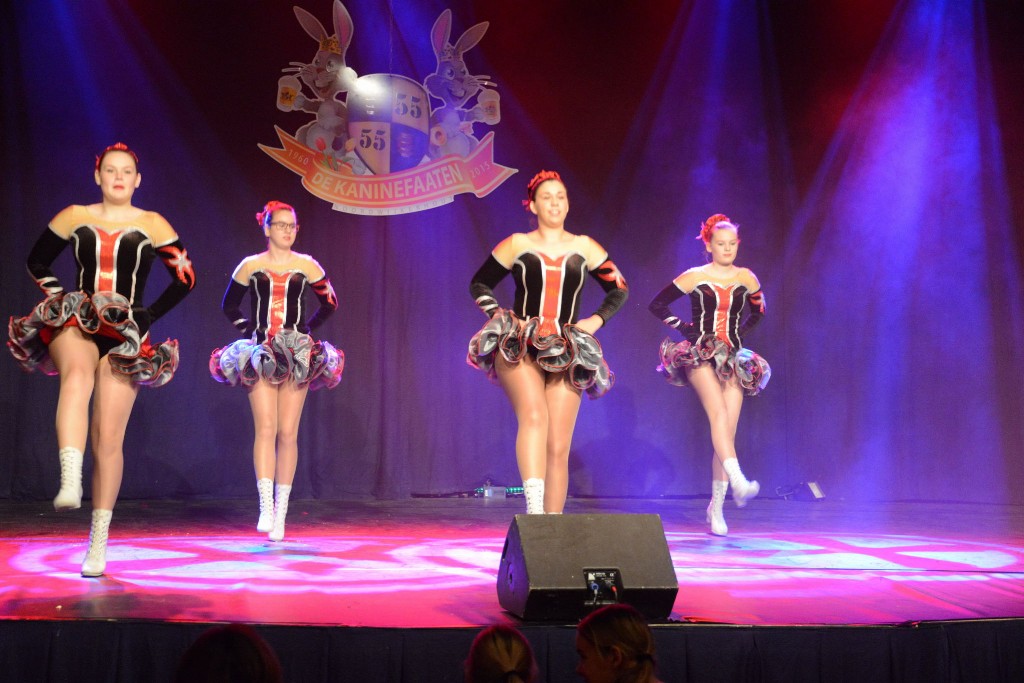../Images/Dansmarieke festival 2015 237.jpg